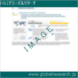 グローバルリサーチ調査レポートのイメージ